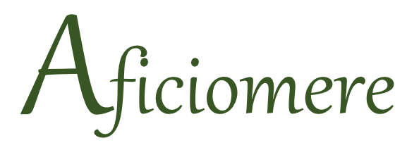 http://www.aficiomere.nl/logo.png